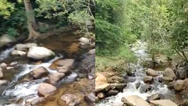 நம்ம மதுரை வைகை ஆற்றின் பிறப்பிடத்தை பார்த்திருக்கீங்களா? புலிகள் சரணாலயமான வருசநாடு! சொர்க்க பூமி!