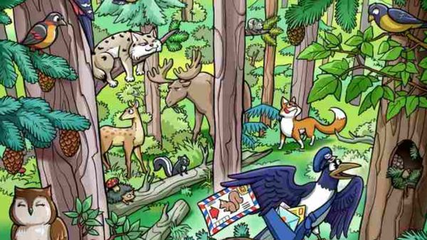 காட்டில் வாழும் அணிலுக்கு வந்த லெட்டர்! போஸ்ட்மேன் ஆன கிங்பிஷர்! 7 வினாடிக்குள் கண்டுபிடியுங்க!