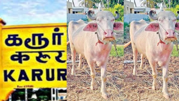 விந்தணு மாறிடுச்சா? என்னங்க சொல்றீங்க.. முருகேசன் வீட்டிலே ஜேஜேன்னு ஒரே கூட்டம்.. கலக்குது கரூர்