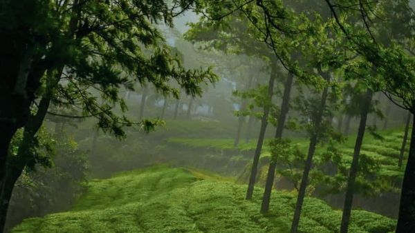 முடிவுக்கு வந்த மாஞ்சோலை சாம்ராஜ்யம்.. வெளியேற்றப்படும் தொழிலாளர்கள்.. எஸ்டிபிஐ வைத்த வேண்டுகோள்