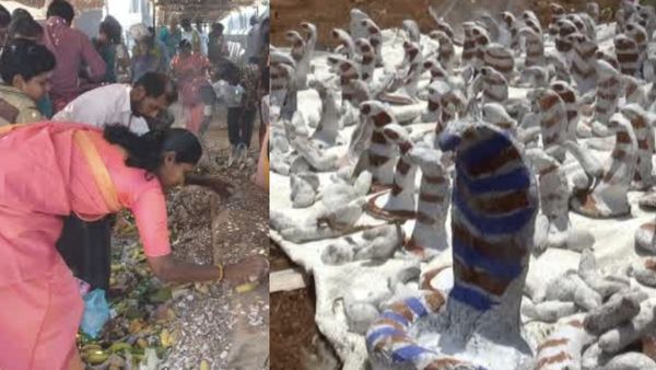 ஈர்க்கும் ஈரோடு.. சத்தியமங்கலம் கோயிலில் அதிசயத்தை பாருங்க.. இதென்ன விநோதம்? பூரித்து நின்ற மக்கள்