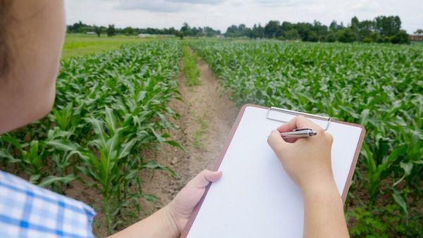 பட்டா, பத்திரம் இல்லாமல் நகரங்களில் நிலங்களின் சர்வே எண்ணை எப்படி காண்பது? அரசுக்கு கோரிக்கை