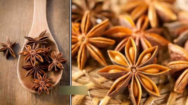 கேன்சர் அபாயம்.. முறையற்ற மாதவிடாய் முதல் அஜீரணம் வரை போக்கும் அன்னாசி பூ! கமகமனு ஸ்டார் பூக்கள்