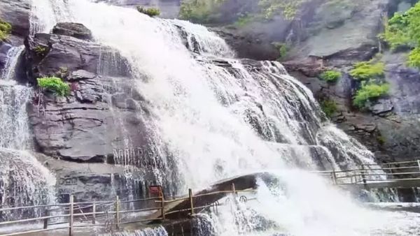 குற்றாலம் மெயின் அருவியில் குளிக்க தடை.. கனமழை எச்சரிக்கையால் அலர்ட் ஆன மாவட்ட நிர்வாகம்!