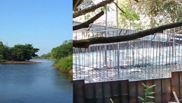 சிலந்தி ஆற்றில் அனுமதியின்றி தடுப்பணை கட்ட தடை.. கேரளாவுக்கு பசுமை தீர்ப்பாயம் அதிரடி உத்தரவு