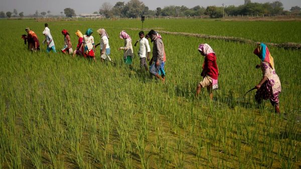 வெறும் ரூ.2000 செலுத்தினால் ரூ.1லட்சம்.. விவசாயிகளுக்கு பொருளாதார நிபுணர் சொன்ன சூப்பர் விஷயம்