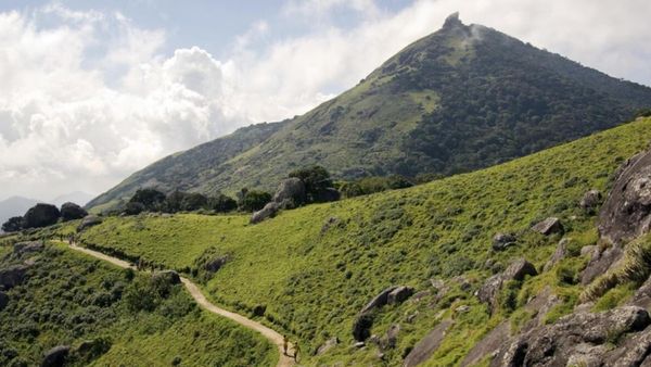 வெள்ளியங்கிரி மலைக்கு செல்ல இனி அனுமதி இல்லை.. 3 மாத கால மலையேற்ற அனுமதி இன்றோடு ஓவர்!