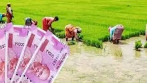 பயிர்க்கடன்.. விவசாயிகளுக்கு மகிழ்ச்சி! 30 சதவீதம் பயிர்க்கடனா? கூட்டுறவு வங்கிகளின் பதிவாளர் அதிரடி