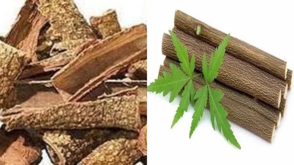 ஆறாத ரணமும் ஆறுமே.. தோல் அலர்ஜி முதல் நரம்பு தளர்ச்சி வரை விரட்டும் வேப்ப மரம் பட்டைகள்.. சூப்பர்