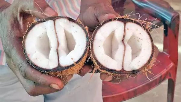 தஞ்சாவூர் அம்மன் கோயிலில் அதிசயம்.. அந்த 