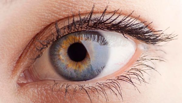 மனித மூளை 300 கிராம் சரி! கண்கள் எவ்வளவு எடை கொண்டது தெரியுமா?