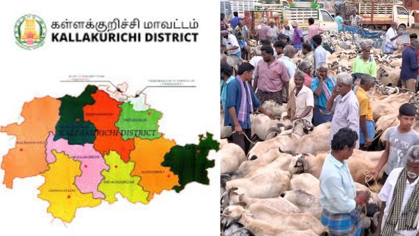 உளுந்தூர்பேட்டையில் அதிகாலை 