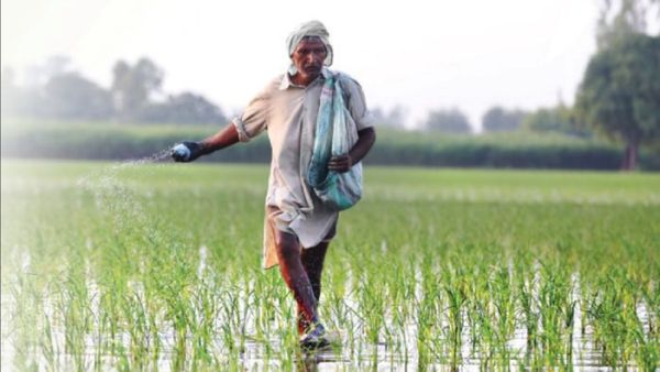 14 பயிர்களுக்கான குறைந்தபட்ச ஆதரவு விலையை பல மடங்கு உயர்த்த மத்திய அமைச்சரவை அதிரடி ஒப்புதல்!