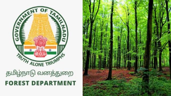 சாரைப் பாம்பு சாம்பார்.. திருப்பத்தூர் இளைஞரின் கொடூரம்! வனத்துறை அதிரடி.. இப்போது கம்பி எண்ணுகிறார்