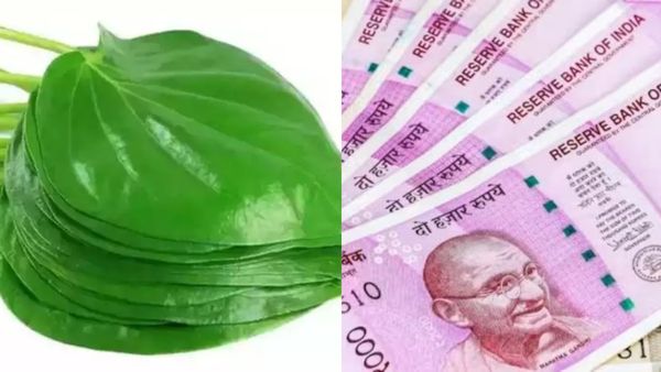 வெற்றிலை பரிகாரம்.. ஒரே ஒரு வெற்றிலை போதும்.. உச்சத்துக்கு போகும் வாழ்க்கை! தொட்டதெல்லாம் வெற்றிதான்