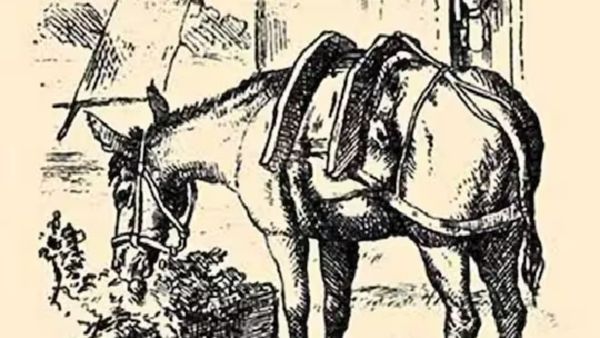 ரொம்ப கஷ்டம்.. படத்தில் மறைந்திருக்கும் நபர் எங்கே? உங்கள் கண்களுக்கு தெரிகிறாரா?