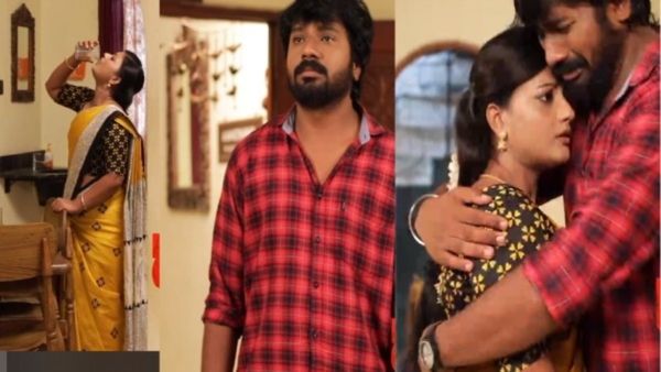 சிறகடிக்க ஆசை: மீண்டும் வீட்டிற்கு வந்த மீனா.. ஆனால் சத்யா கொடுத்த அதிர்ச்சி.. இப்படி ஆகிடுச்சு