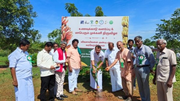 நூற்றுக்கணக்கான முக்கனி ரகங்கள்.. சிங்கப்பூர், மலேசியா விவசாயிகளை ஈர்த்த ஈஷாவின் முக்கனி விழா! 