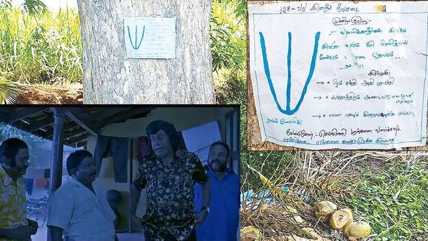கள்ளக்குறிச்சி தோப்பில் களவாணிகள்.. ஓனருக்கு 'பட்டை நாமம்'.. 128வது இளநீர் வேட்டை என போஸ்டர் வேறு