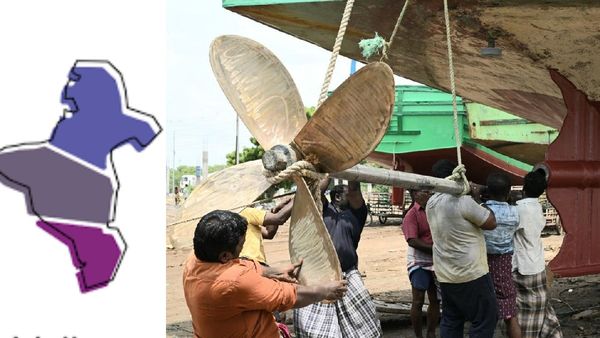 தாறுமாறா போன ஷீலா.. மிரட்டிய சால்மன்.. வேலூர் மார்க்கெட்டில் கூட்டம்.. கடலுக்கு கிளம்பும் மீனவர்கள்