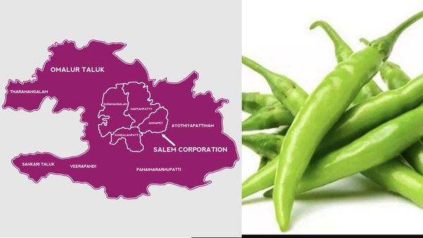 சேலம், திருப்பூரில் அழவைத்த பச்சை மிளகாய்.. 1 கிலோ விலையை பாருங்க.. பச்சை மிளகாய் படுத்தும் பாடு