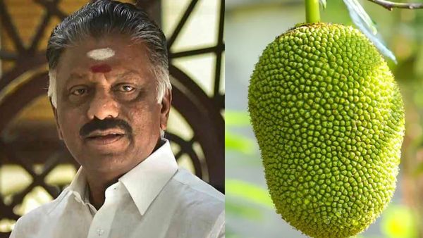 தாறுமாறாக வந்த எக்ஸிட் போல்! அடித்துபிடித்து செண்பகத்தோப்புக்கு பலாப்பழத்துடன் சென்ற ஓபிஎஸ்!