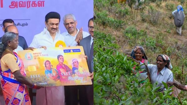 நாங்கள் அரசு ஊழியர்களாம்! மறுக்கப்படும் ரூ 1000 மகளிர் உரிமைத் தொகை! மாஞ்சோலை தொழிலாளர்கள் வேதனை