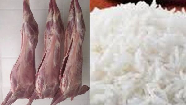 ஆடு பலியிடப்பட்டது.. கழுத்தில் தொங்கிய அண்ணாமலை போட்டோ.. ரோட்டில் சம்பவம்.. தமிழ்நாடு பாஜக அதிர்ச்சி