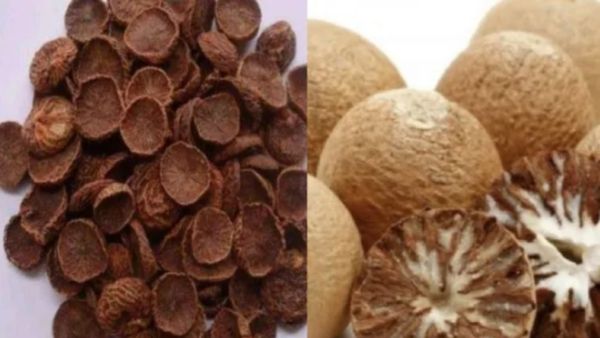 கொட்டை பாக்குகளில் கொட்டி கொட்டி கிடக்கும் நன்மை.. இவங்க மட்டும் பாக்குகளை தொடாதீங்க.. ஏன் தெரியுமா