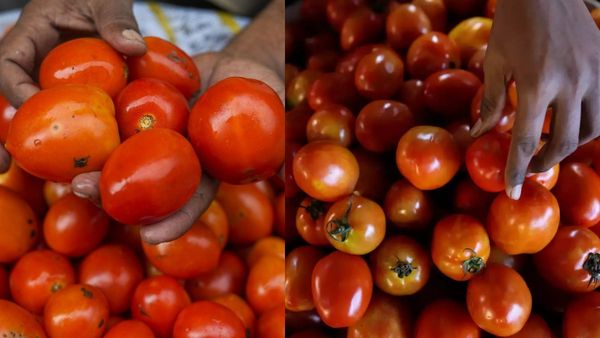 உச்சத்தில் தக்காளி விலை.. ரூ.100ஐ தாண்டி விற்பனை.. பொதுமக்கள் பெரும் அவதி! எப்போது விலை குறையும்?