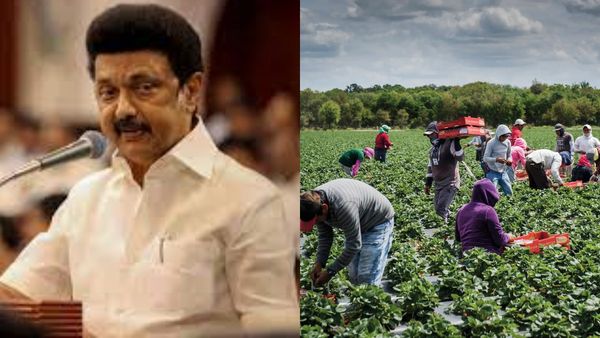 மிஸ் பண்ணா போச்சு.. அவசரம்.. தமிழ்நாடு முழுக்க பல லட்சம் பேருக்கு.. அரசு அனுப்பிய மெசேஜ்.. என்ன?