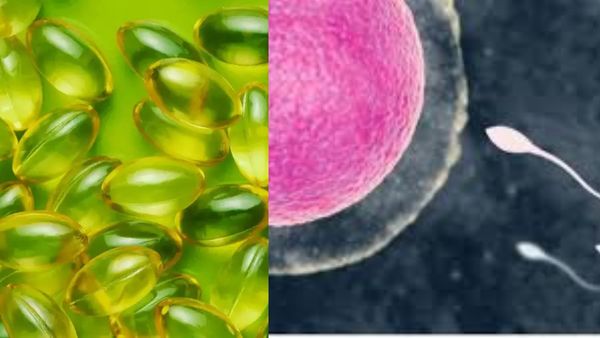 கொய்யா இலை டீயில்.. கொட்டி கிடக்கும் நன்மைகள்.. ஆரோக்கியமான, வலுவான விந்தணுக்களை பெற உதவும் உணவுகள்