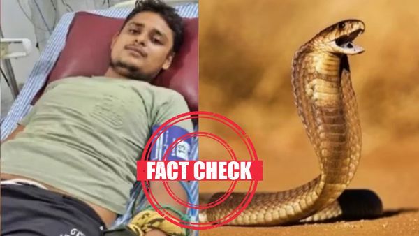 Fact Check: பாம்புகள் தேடி வந்து கடிக்குமா? உ.பியில் 7 முறை இளைஞரை கடித்த பாம்பு? உண்மை இதுதான்
