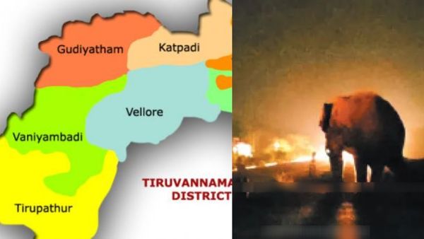 ஆடிப்போன ஆம்பூர்.. திருப்பத்தூரில் திகைத்து நின்ற வேலூர் எம்பி.. இரவில் பாடாய் படுத்திய அந்த உருவம்