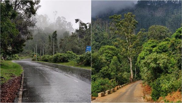 கடவுளே வாழ விரும்பும் கனவுப்பாதை.. கொடைக்கானலுக்கு இந்த வழியே ஒரு முறை சென்று பாருங்க 