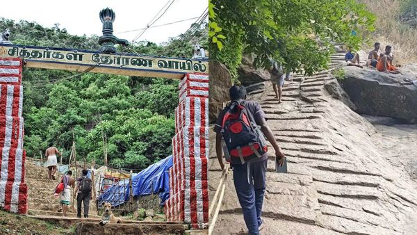 சித்தர்கள் வாழும் சதுரகிரி மலையின் ரகசியம் தெரியுமா? நாய்க் குட்டி போல் காய் வைக்கும் மரம் இருக்கே!