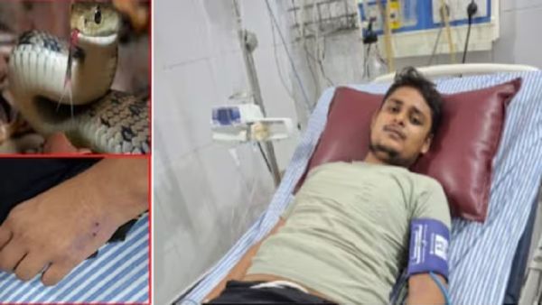 உத்தரப் பிரதேசத்தை உலுக்கி எடுக்கும் மர்மம்.. பட்டுனு போட்ட பாம்பு.. அதென்ன சனிக்கிழமை ஸ்பெஷல்?