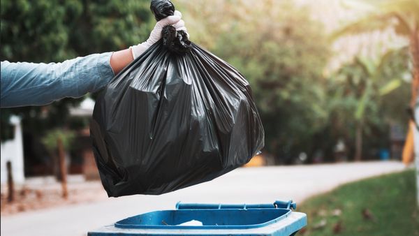 உத்தரகாண்டுக்கு போறீங்களா... கையில் ஒரு பையை கட்டாயம் எடுத்துட்டுப் போங்க... ஏன் தெரியுமா?