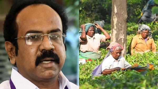 மாஞ்சோலை தேயிலைத் தோட்ட தொழிலாளர்களுக்கு கலைஞர் கனவு இல்லம் திட்டத்தில் வீடு- தங்கம் அறிவிப்பு