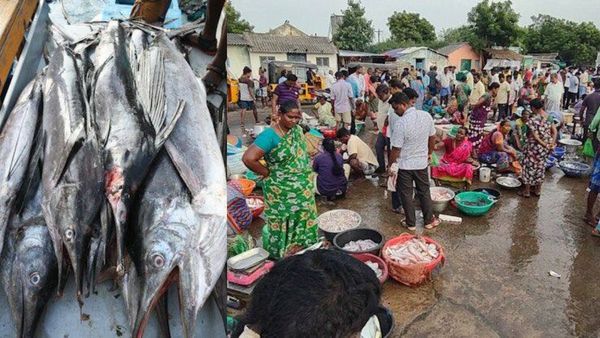 கடல்லயே இல்லையாம்.. சென்னை, கடலூர் மீனவர்கள் குஷி.. மீன் விலையை பாருங்க.. ஆட்டம் தந்த ஆடி கிருத்திகை