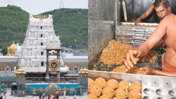 திருப்பதி லட்டை கிறிஸ்தவர் தயாரிக்கிறாரா? வெளியான வதந்தி! தேவஸ்தானம் வெளியிட்ட பரபரப்பு விளக்கம்