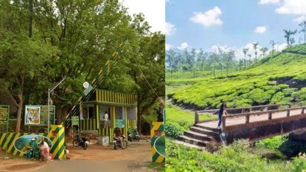 திருநெல்வேலியில் நற்செய்தி.. இன்று முதல் நெல்லை மாஞ்சோலை செல்லலாம்.. தடையை நீக்கி மக்களுக்கு அனுமதி