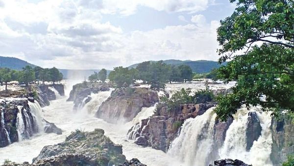 ஒரேடியாக மாறிய ஒகேனக்கல்.. காவிரி ஆற்றில் அசுர வேகத்தில் பாயும் ஒரு லட்சத்து 95 ஆயிரம் கன அடி நீர்