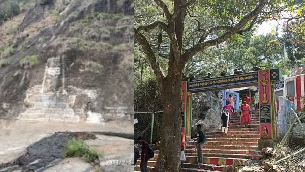 ஆடி அமாவாசை! சதுரகிரி மலையில் அதிசய ஜோதி புல்! பழனிக்கும் சதுரகிரிக்குமான தொடர்பு என்ன?