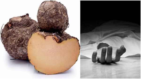 கருணைக் கிழங்கு உடலுக்கு நல்லதுனு சொல்லி பச்சையாக சாப்பிட்ட இளைஞருக்கு கொடூரம்! முகம் வீங்கி பலி