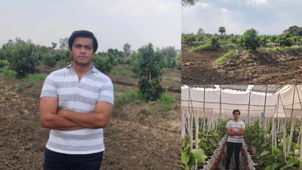 மொத்த ஊரே அண்ணாந்து பார்க்குது.. ஒரே பழத்தை வைத்தே.. கோடிகளில் சம்பாதித்த இளைஞர்.. எப்படி?