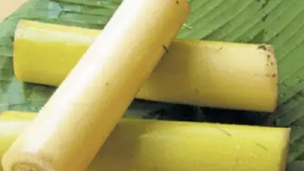 தம்மாத்துண்டு தண்டு 'வாழைத்தண்டு'.. வயதானவர்கள் வாழைத்தண்டில் ஜூஸ் குடிக்கலாமா? வாழ வைத்திடும் வாழை