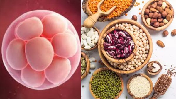 இலவங்கப்பட்டை இருக்கா? கருமுட்டை வளர்ச்சிக்கு உதவும் சூப்பர் உணவுகள்.. தம்பதி மிஸ் பண்ணாதீங்க