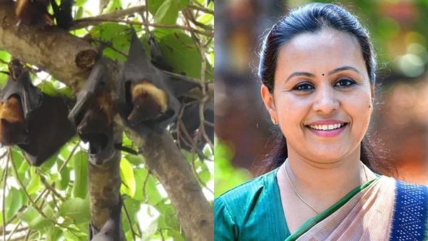 சாம்பிளுக்கு போன 