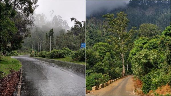 தமிழ்நாட்டிலேயே அழகான திரில்லான ரூட்.. ஆனால் மழை பெய்யும் காலத்தில் தப்பி தவறிக்கூட போக்கூடாத பாதை 